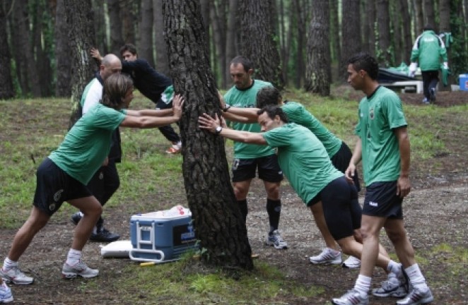 En torno al &aacute;rbol